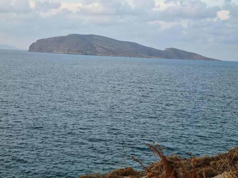Tholos Baugrundstück direkt am Meer, Mirabello-Bucht, Nordostkreta Grundstück kaufen